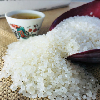 Gạo Hạt Tròn Dẻo Thơm Mềm Ngọt Cơm Không Khô Cứng Giàu Vitamin & Khoáng Chất | Gạo Thuần Nguyên TN30