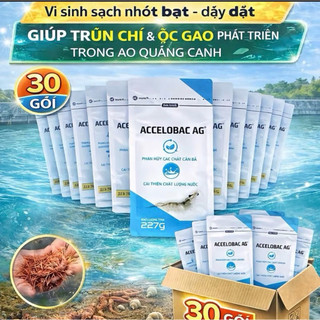 (1 Thùng 30 gói) Accelobac Ag - Vi sinh giúp cải thiện chất lượng nước ao nuôi tôm, cá