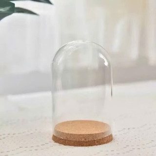 Lọ Thuỷ Tinh Nắp Gỗ Úp Ngược, Lọ Trang Trí Tiểu Cảnh