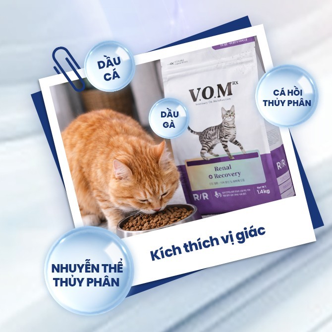 [1.4KG] V.O.M - Thức ăn hạt cho mèo hỗ trợ trị liệu cho thận và phục hồi cơ thể VOM