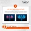 V.O.M - Thức ăn hạt cho mèo hỗ trợ trị liệu cho đường tiết niệu và kiểm soát lượng calo VOM