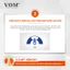 V.O.M - Thức ăn hạt cho mèo hỗ trợ trị liệu cho đường tiết niệu và kiểm soát lượng calo VOM