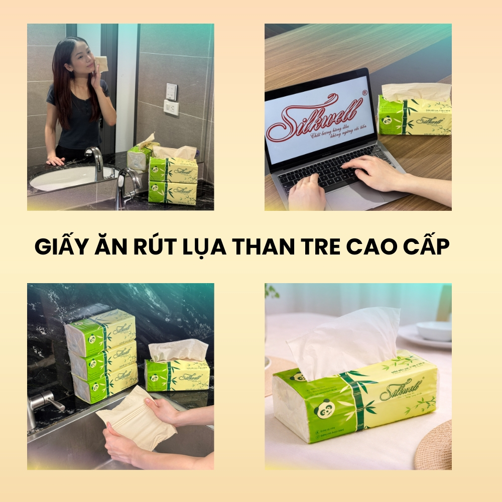 [HỎA TỐC] Giấy Ăn Lụa Silkwell Thùng 9 Gói Gấu Trúc Nâu 160 Tờ/3 Lớp - Dai, Thấm Nước Tốt Không Mủn