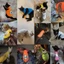 Áo Ba Lỗ Cho Chó Mèo Hình Hoạt Hình Siêu Cute - Áo Thú Cưng Chất Vải Mát, Co Giãn Thoải Mái