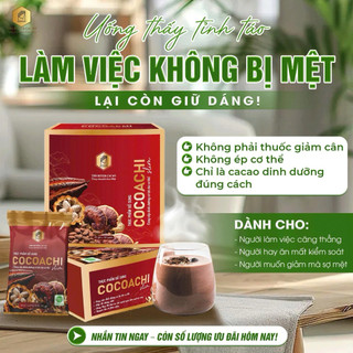 Cacao Cocoachi Nấm Linh Chi Hộp 20 Gói Ngũ Cốc Cacao Không Đường Không Chất Bảo Quản Thơm Ngon Dinh Dưỡng