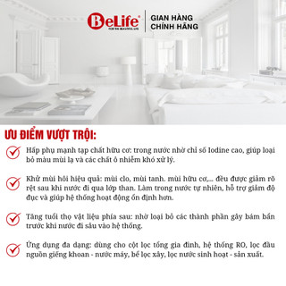 Than hoạt tính Hàn Quốc vật liệu lọc nước giếng khoan, nước máy (20Kg)