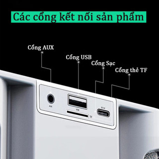 Loa Karaoke Bluetooth Kèm 2 Mic YS-219 Công Suất 45W, Thiết Kế Đẹp, Bass Cực Mạnh, Bảo Hành 2 Năm