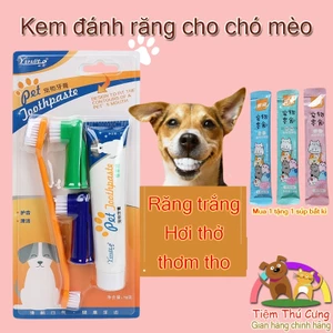 Kem đánh răng cho chó mèo tặng kèm bàn chải