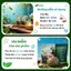 Combo 2 Trà Atiso Túi Lọc AMMU 100 túi lọc Đặc Sản Đà Lạt, Vị Dịu Dễ Uống Không Hương Liệu