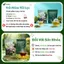 Combo 2 Trà Atiso Túi Lọc AMMU 100 túi lọc Đặc Sản Đà Lạt, Vị Dịu Dễ Uống Không Hương Liệu