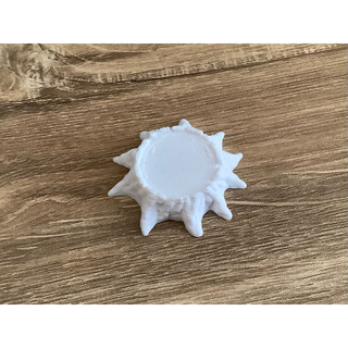 Base Mô Hình Gốc Cây 12x12cm Siêu Đẹp – Đế Trưng Bày Figure