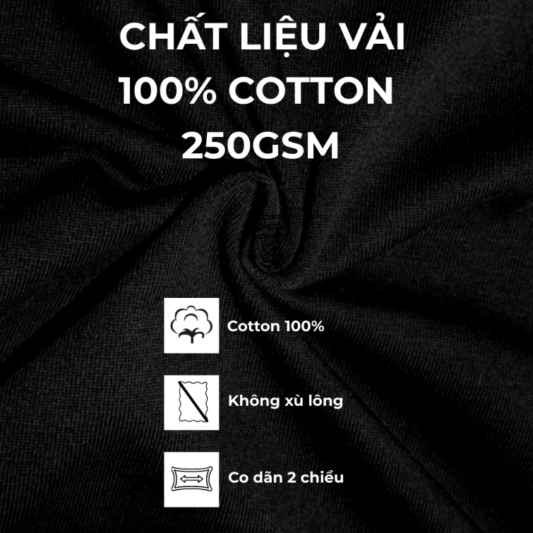 Áo thun trơn Oversize Raven 100% Cotton 250GSM nam nữ cổ tròn BASIC