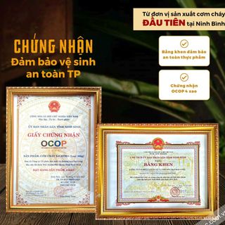 COMBO 2 VỊ CƠM CHÁY GIÒN RỤM [ 2 BỊCH MỖI BỊCH 250g, ĐỒ ĂN VẶT NHÀ ĐẠI LONG FOODS]