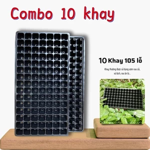 Khay ươm , vỉ ươm hạt giống 28 lỗ, 32 lỗ, 50 lỗ, 72 lỗ, 105 lỗ, 128 lỗ, 200 lỗ