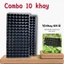 Khay ươm , vỉ ươm hạt giống 28 lỗ, 32 lỗ, 50 lỗ, 72 lỗ, 105 lỗ, 128 lỗ, 200 lỗ