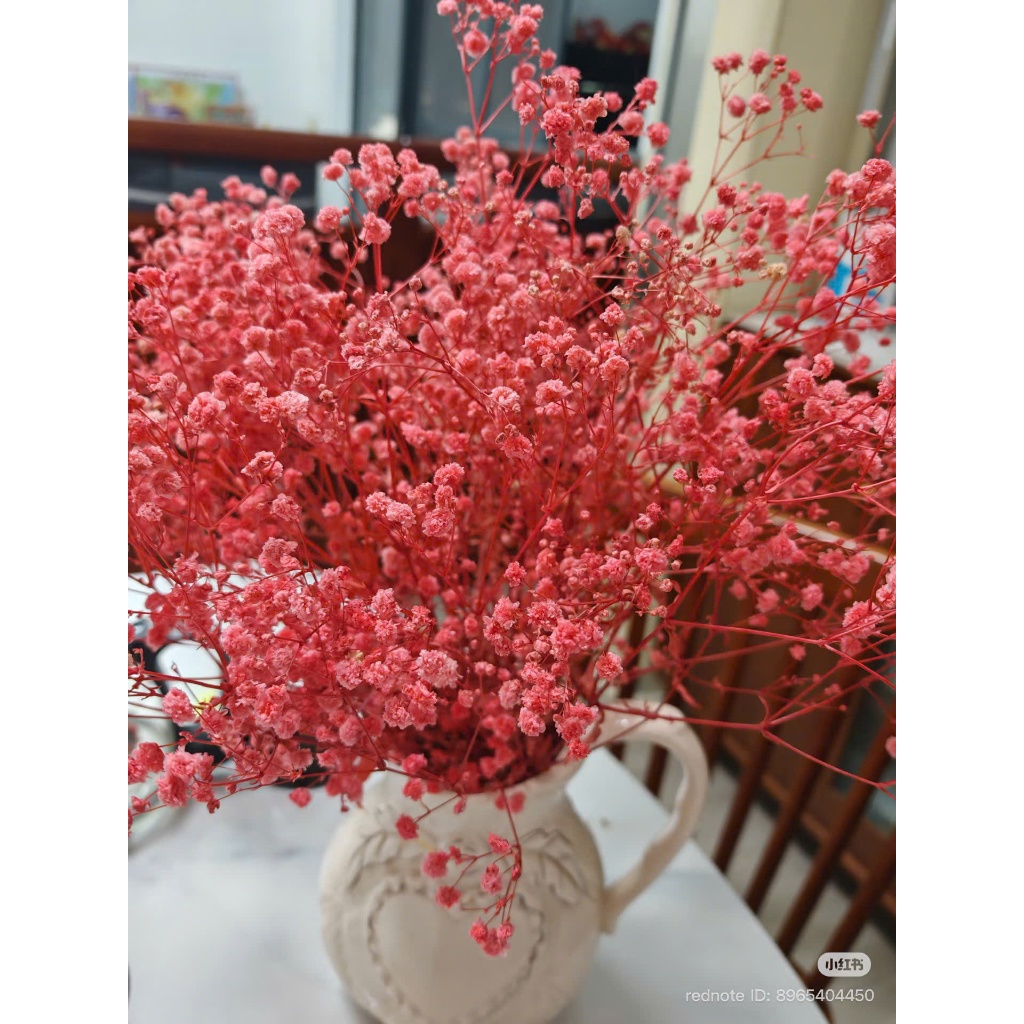 Hoa baby khô đẹp bền, không phai màu decor cắm lọ để bàn trang trí ,bó 100g