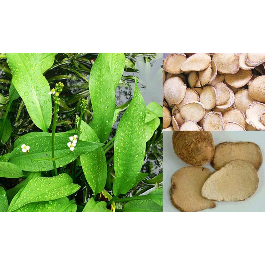 Trạch tả khô thượng hạng JINDO 1kg