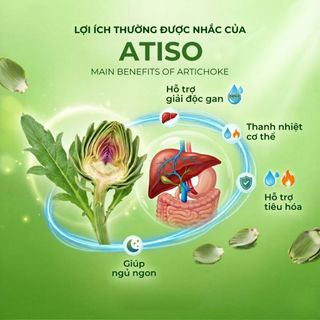 Trà Atiso Túi Lọc AMMU Đặc Sản Đà Lạt Thảo Mộc Tự Nhiên Hương Thanh Nhẹ Dễ Uống