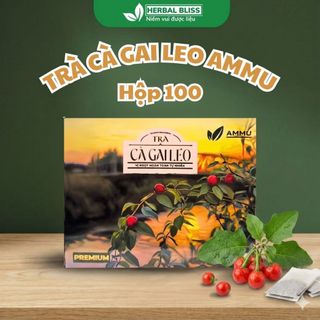 Trà Cà Gai Leo Túi Lọc AMMU Thảo Mộc Tự Nhiên Hương Thanh Nhẹ Dễ Uống Hộp 100 Túi