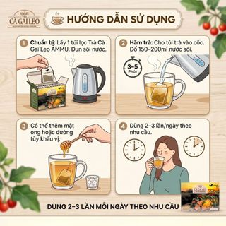 Trà Cà Gai Leo Túi Lọc AMMU Thảo Mộc Tự Nhiên Hương Thanh Nhẹ Dễ Uống Hộp 100 Túi