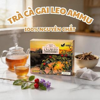 Trà Cà Gai Leo Túi Lọc AMMU Thảo Mộc Tự Nhiên Hương Thanh Nhẹ Dễ Uống Hộp 100 Túi