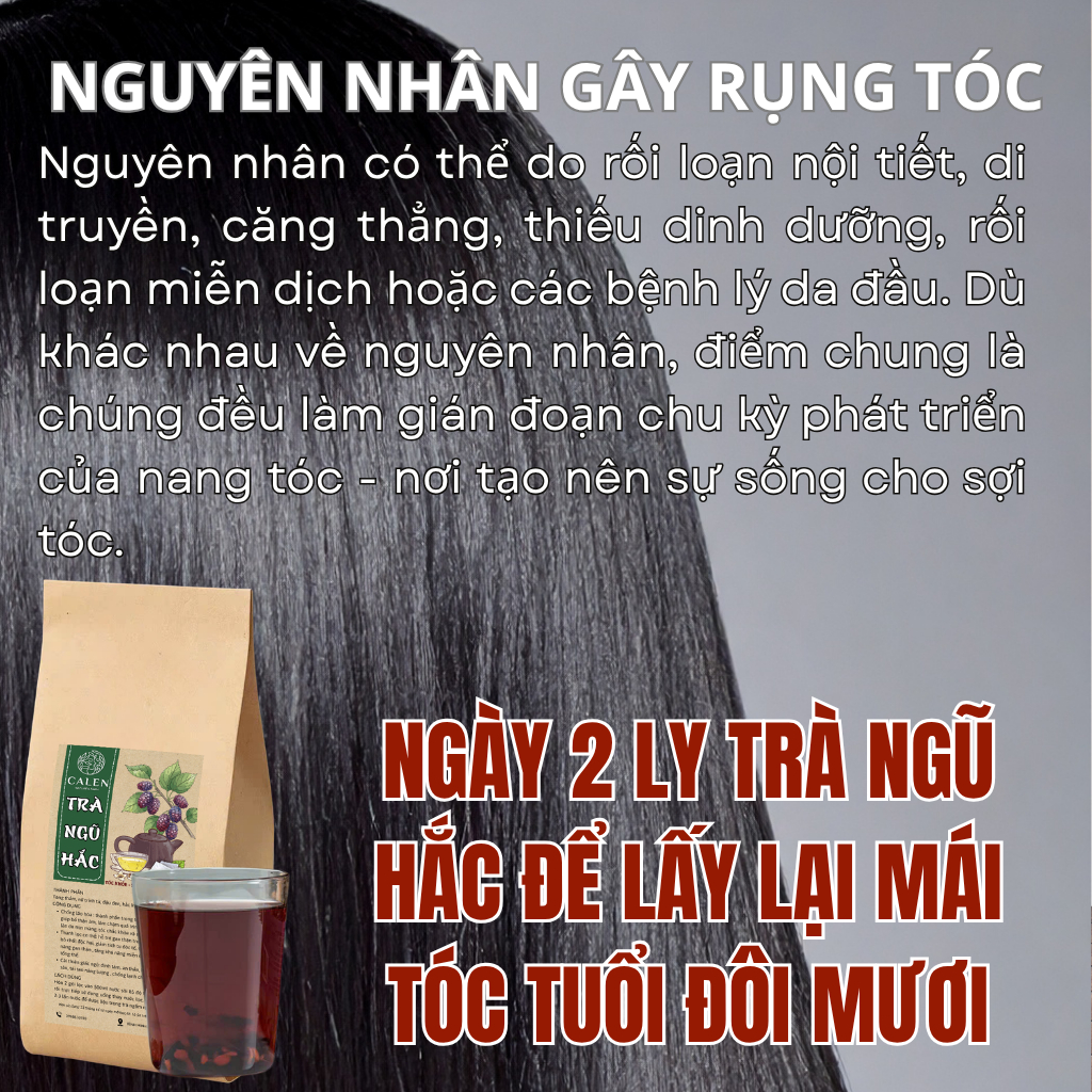 Trà ngũ hắc Calen Nature Farm đẹp da bóng tóc - cho phụ nữ hay rụng tóc, tóc xơ mỏng yếu bịch 30 lọc