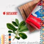 🧉Full 6 vị Trà Yerba Mate Taragui 500gr - Energia - Sin Palo - Truyền Thống - Chanh Leo - Trái Cây Nhiệt Đới - Cam