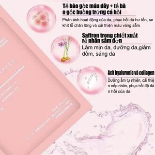 (Hộp 50 Miếng) Chăm Sóc Da Mặt Nạ Nhau Thai Cừu Rwine Beauty Cấp Ẩm Da Sáng Mịn, Căng Bóng - VIORA