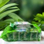 TRÀ MỐC CÂU SỐ 1 HIỆP THÀNH