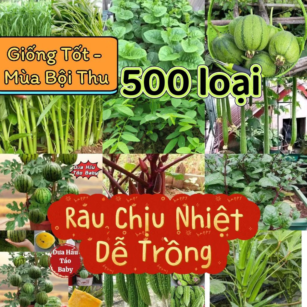 Hạt Giống Rau Chịu nhiệt, Trồng Quanh Năm, Siêu Dễ Trồng ,RAU MỒNG TƠI, Rau Muống, Mướp, Dưa, Đậu... các loại