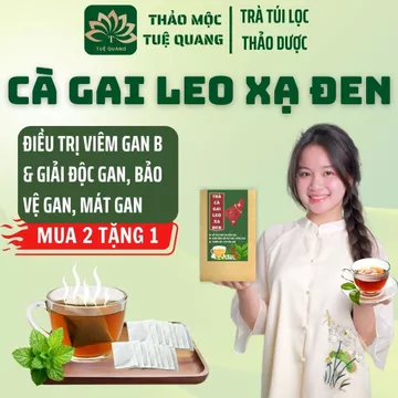 Trà cà gai leo xạ đen - Tuệ Quang - 4 vị thảo dược, thanh lọc cơ thể - Hộp 50 túi lọc