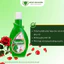 Dung dịch vệ sinh phụ nữ - Nước rửa phụ khoa Gynofar 250ml, 500ml