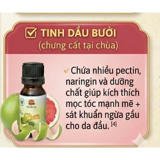 TTTTXH Tinh dầu Hương Hồi Long - Thư giãn giảm căng thẳng Kháng khuẩn làm sạch không khí