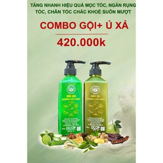 TTTTXH- Combo Dầu gội + dầu xả thảo dược Hương Hồi Long