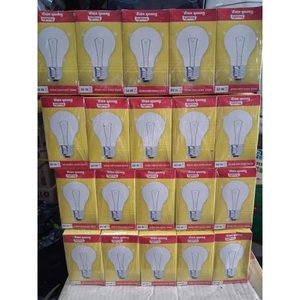 Bóng Úm Gà Sợt Đốt Điện Quang 60W