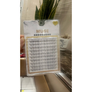 Mi Muse X96 X97 – Mi Cụm Hot Trend, Tự Nhiên Như Nối Mi