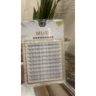 Mi Muse X96 X97 – Mi Cụm Hot Trend, Tự Nhiên Như Nối Mi