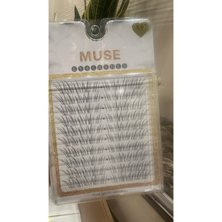 Mi Muse X96 X97 – Mi Cụm Hot Trend, Tự Nhiên Như Nối Mi