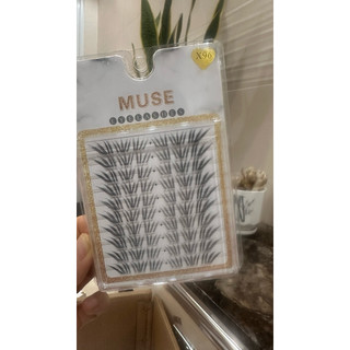 Mi Muse X96 X97 – Mi Cụm Hot Trend, Tự Nhiên Như Nối Mi