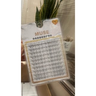 Mi Muse X96 X97 – Mi Cụm Hot Trend, Tự Nhiên Như Nối Mi