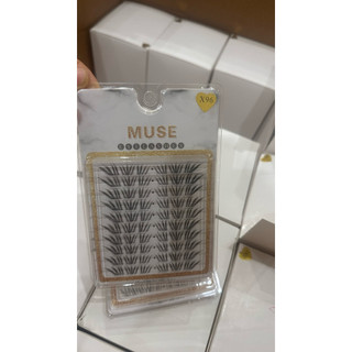 Mi Muse X96 X97 – Mi Cụm Hot Trend, Tự Nhiên Như Nối Mi