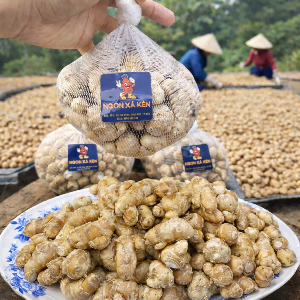 (MUA 1 TẶNG 1) Củ xá kén, địa liền 1 nắng hương vị, gia vị của gia đình.