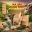 Trà Đậu Thanh Nhiệt - Giải Độc, Trừ Thấp, Mát Gan