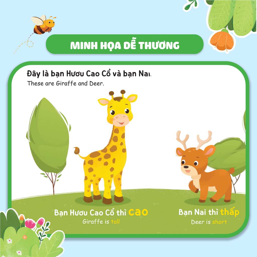 Sách - Combo 8 Cuốn Hỏi - Đáp Cùng Bé, Ehon Song Ngữ Anh - Việt - Dành Cho Bé Từ 0 -3 Tuổi