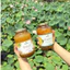 COMBO TRÀ GỪNG + TRÀ CHANH MẬT ONG HANTAE HÀN QUỐC | GIẢI NHIỆT | HÓT HÒN HỌT!!!