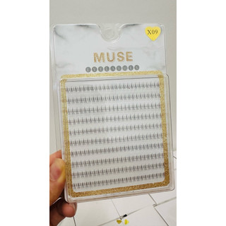 Mi Muse X09 (dày – đều – tự nhiên) Mi Muse X01 (thưa – sắc – cá tính)