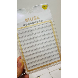 Mi Muse X09 (dày – đều – tự nhiên) Mi Muse X01 (thưa – sắc – cá tính)