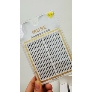 Mi cụm Muse X101 X103 X105 – Mi tơi tự nhiên / sắc nét – Gắn nhanh 3 phút – Không cần nối mi – Nhẹ mắt dễ dùng