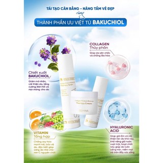 Nước Cân Bằng SEHWA – Dưỡng Trắng Cấp Ẩm Tái Tạo Da Collagen Toner 150ml