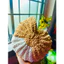 Túi đeo chéo hình ốc handmade